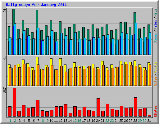 Daily usage for January 2011