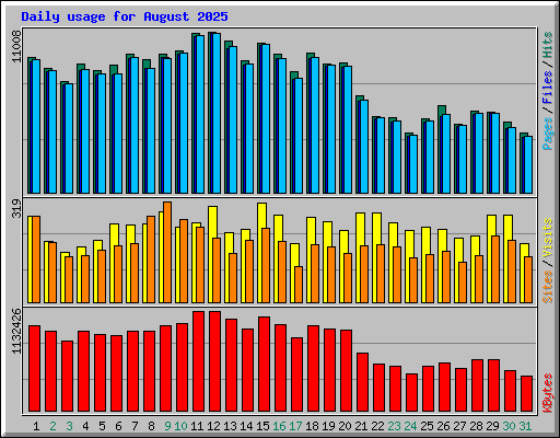 Daily usage for August 2025
