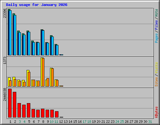 Daily usage for January 2026