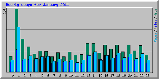 Hourly usage for January 2011