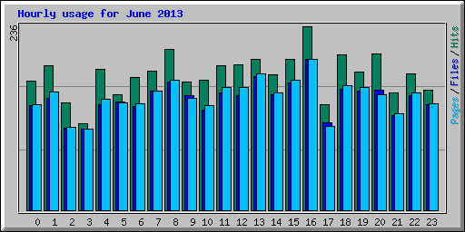 Hourly usage for June 2013