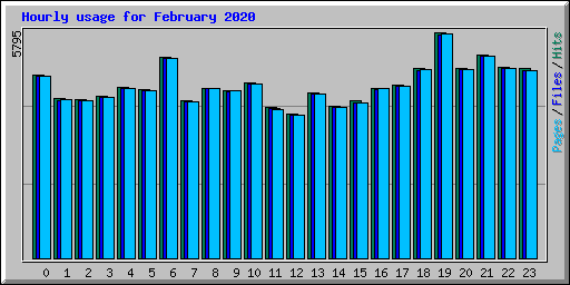 Hourly usage for February 2020