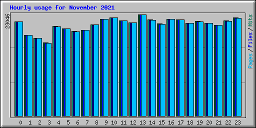 Hourly usage for November 2021