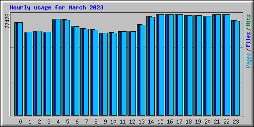 Hourly usage for March 2023