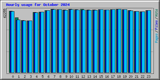 Hourly usage for October 2024
