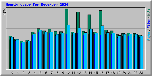 Hourly usage for December 2024