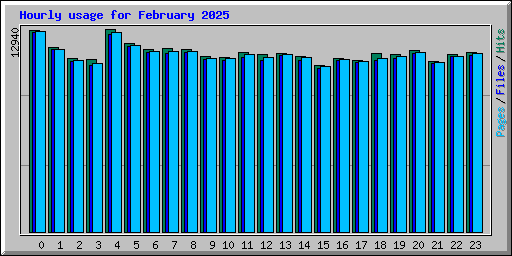 Hourly usage for February 2025