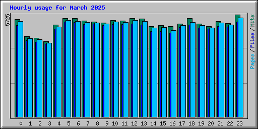 Hourly usage for March 2025
