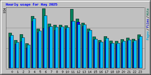 Hourly usage for May 2025