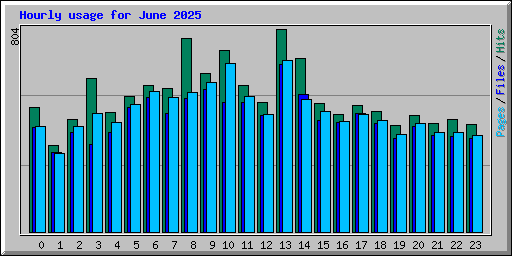 Hourly usage for June 2025