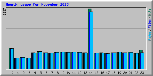 Hourly usage for November 2025
