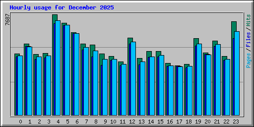 Hourly usage for December 2025