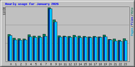 Hourly usage for January 2026