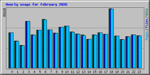 Hourly usage for February 2026