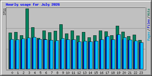 Hourly usage for July 2026