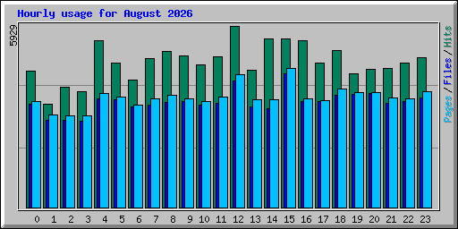 Hourly usage for August 2026